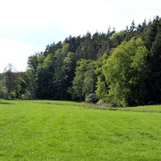 Altwasser der Jagst zw.Kalkhöfe u.Schweighausen