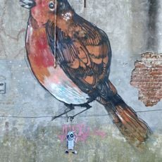 Graffiti
