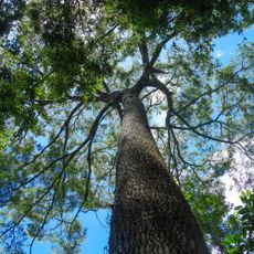 Nova Baden State Park