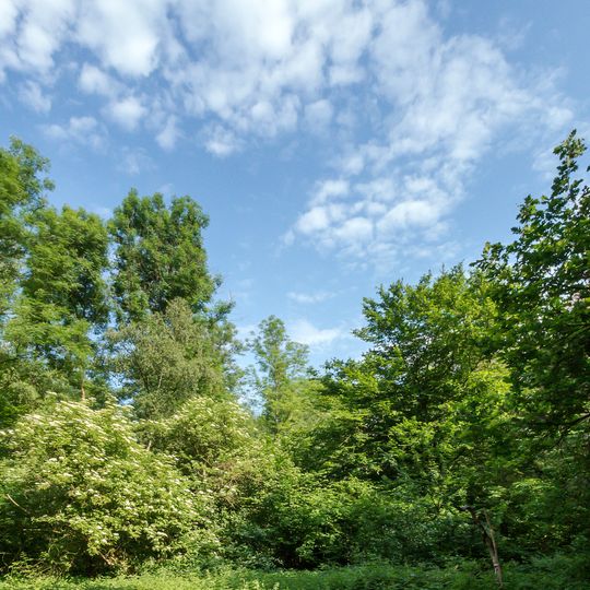 Langenbroich-Stetternicher Wald
