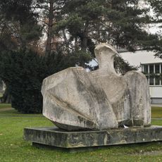 Odpočívající plavec