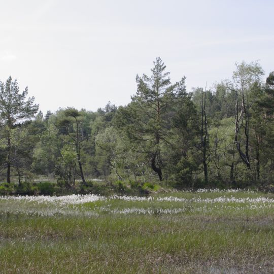 Presseler Heidewald- und Moorgebiet
