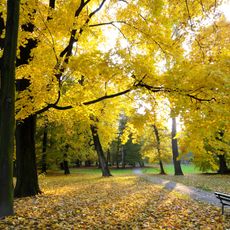 Decjusz Park in Kraków