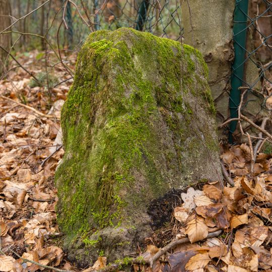 Grenzstein Fürther Stadtwald in Fürth