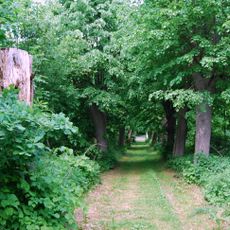 Cmentarz ewangelicki