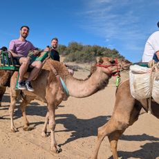 Camello Safari Duna Oasis