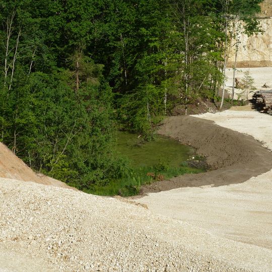 Tongrube im Brandels-Häuser Hau