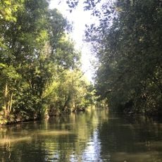 Marais de Saint-Hilaire-Arçais