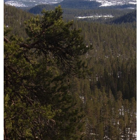 Parco nazionale Björnlandet