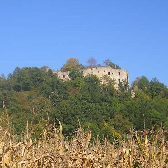 Ruine Hilgartsberg