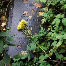 Могила А.С. Фаминцына (1835-1918), ботаника-физиолога