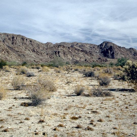 Colorado Desert