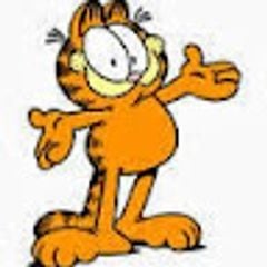 nordhollandsnord.holland