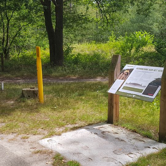 Terrein waarin drie grafheuvels