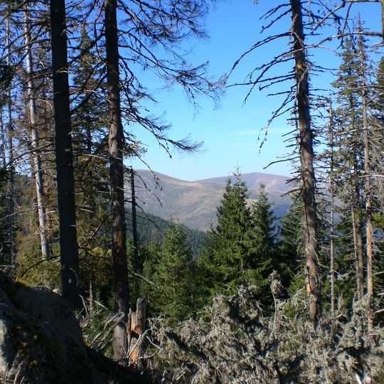 Tsaritchina Biosphere Reserve