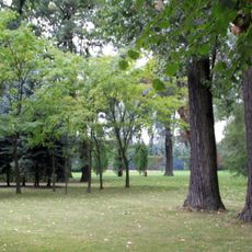 Park in Chaławy
