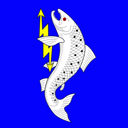 Salminskoye rural settlement