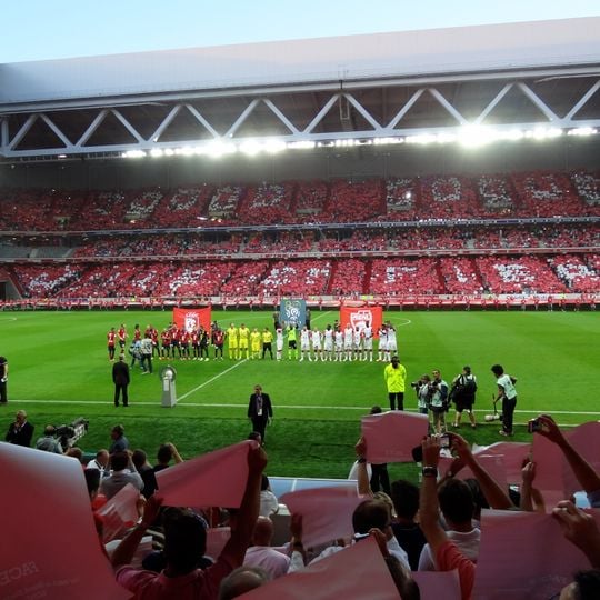 Pierre Mauroy Stadium