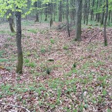 Roschle Roman watchtower