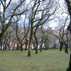Oak grove of Santa Susana