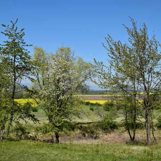 Velká Volavka Volevčice