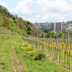 Rheinnieder bei Vallendar