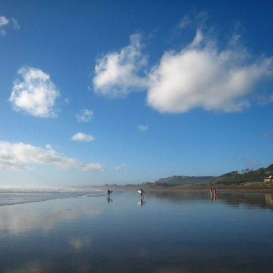 Muriwai Beach