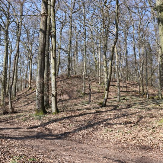 Wall section of the Erdener Burgberg