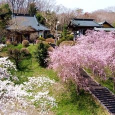 天性寺