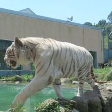 Izu Animal Kingdom