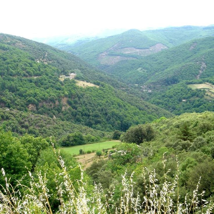 Les Cévennes