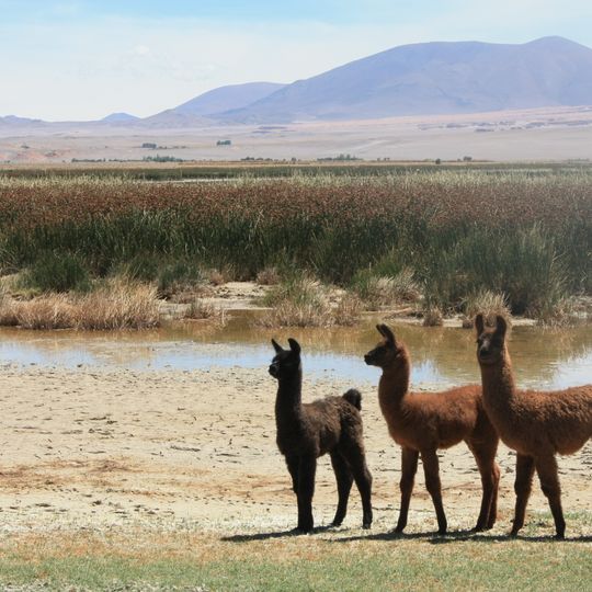 Departamento Antofagasta de la Sierra