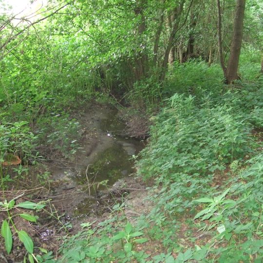 Röllbachtal bei Usingen