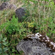 Jewish Cemetery in Frampol