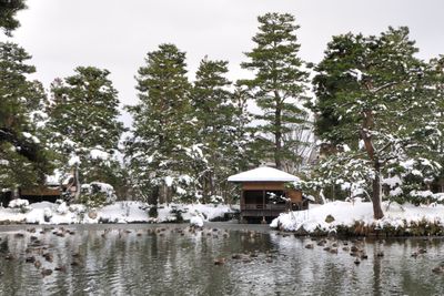 Winter 1