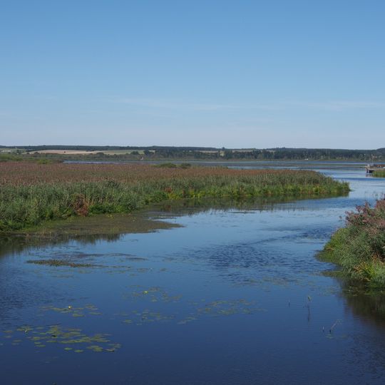 Federsee