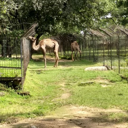 Zoological Garden Jos