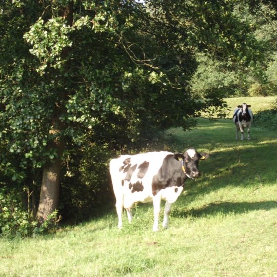 Batterij op de Schalmdijk