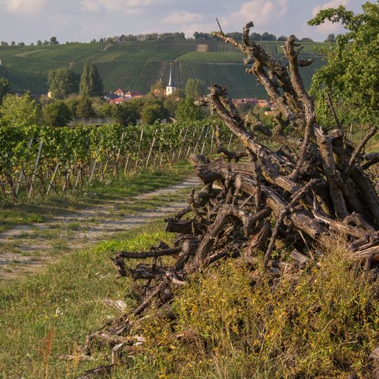 Volkacher Mainschleife