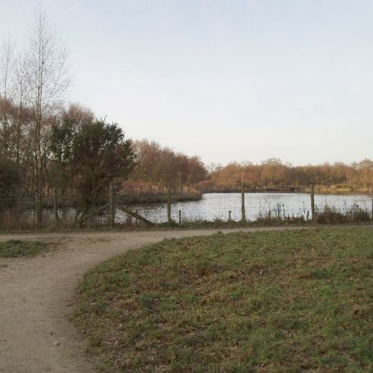 Lindow Common