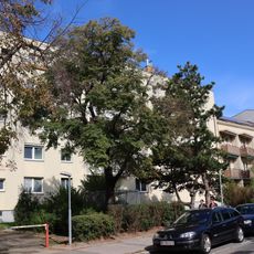 Wohnhausanlage Mühlschüttelgasse 7–11