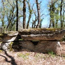 Bois del Rey dolmen