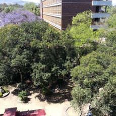 Faculty of Engineering train car