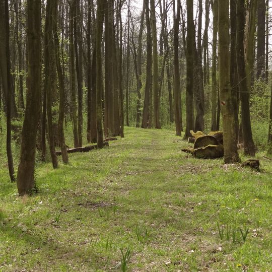 Zámecký park Liblice