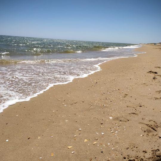 Playa de la Flecha de El Rompido