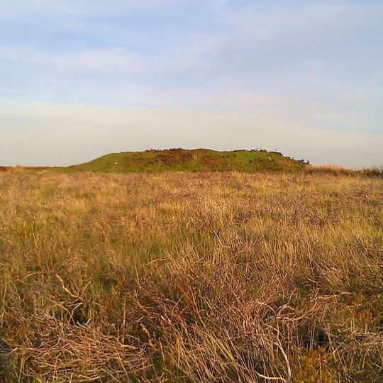 Round barrow cemetery incorporating Wambarrows on Winsford Hill