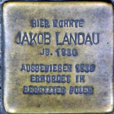 Jakob Landau