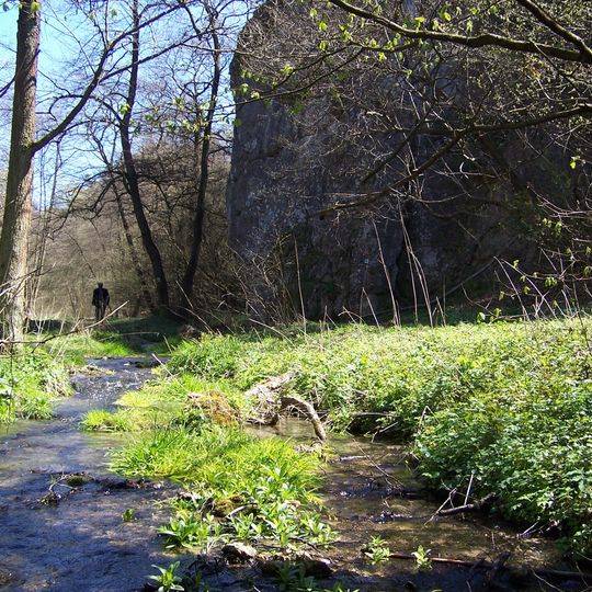 Rezerwat przyrody Dolina Kluczwody