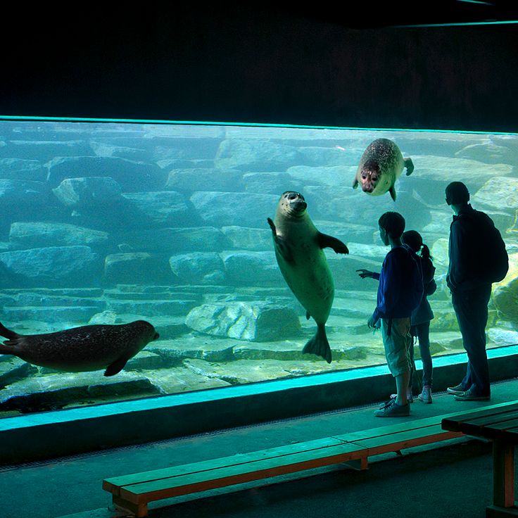 Parc animalier de Branféré