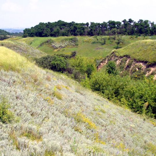 Balka Kyrpychna Reserve